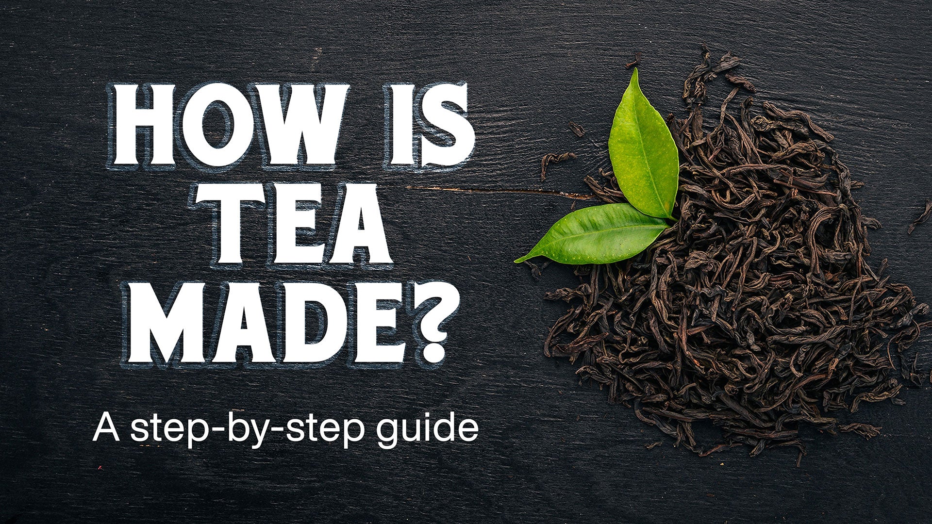 How is Tea Made? A Step-By-Step Guide – Seven Teas